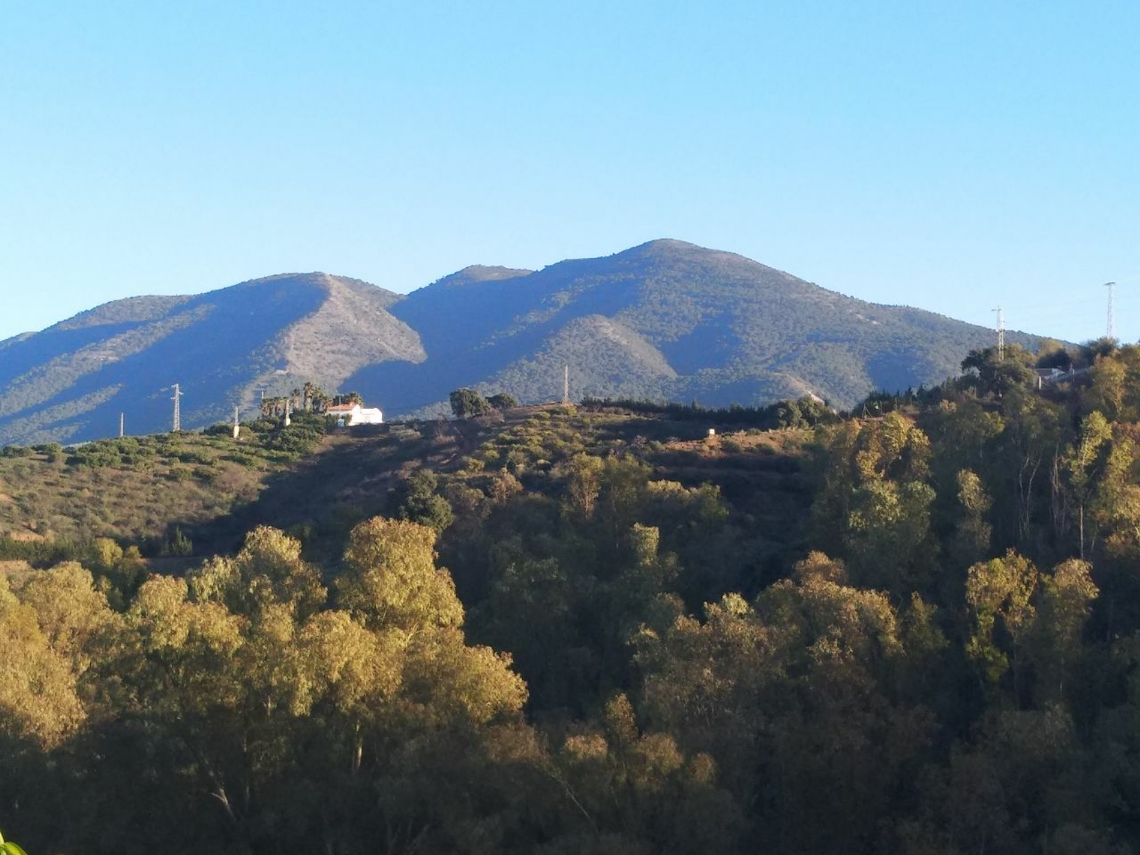 Agricultural Projects